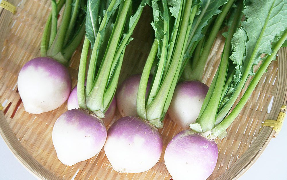 こんにちは♪♪信州産紫色のかぶ - 野菜