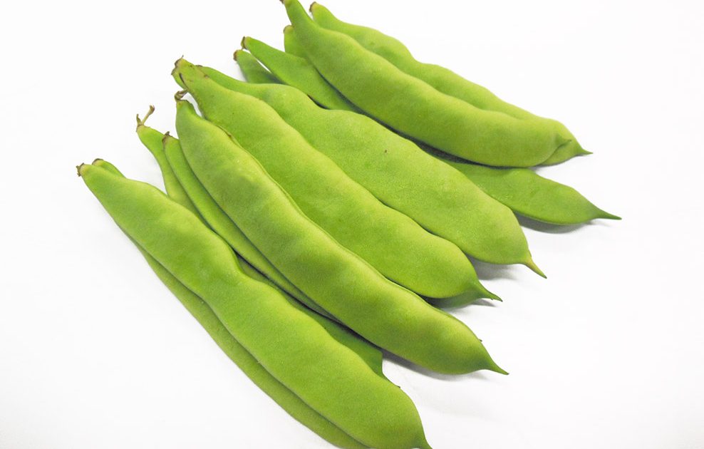 長野県 新鮮野菜 モロッコインゲン豆（6kg