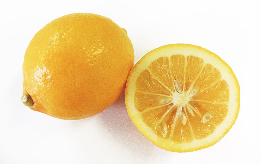 公式セールサイト めぐさま 専用 レモン6 オレンジ | auntsandysplace.com