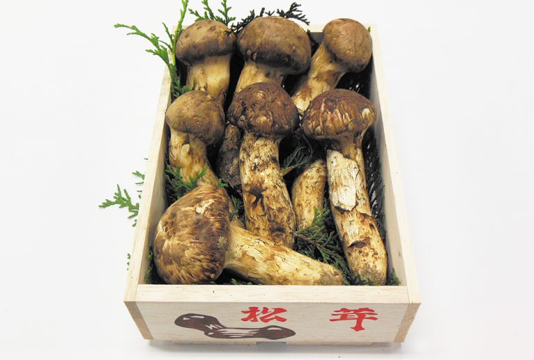 食品 ①信州産 松茸 長野県 250g クール便 | vfv-wien.at