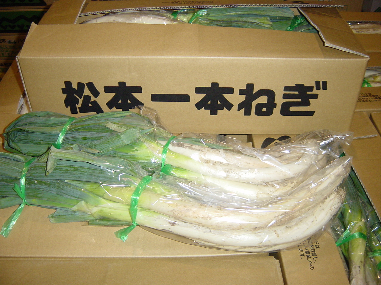 松本一本ねぎ【信州の伝統野菜】 | 丸友中部青果