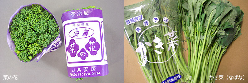 野菜 果物 週間便り 2 22 丸友中部青果